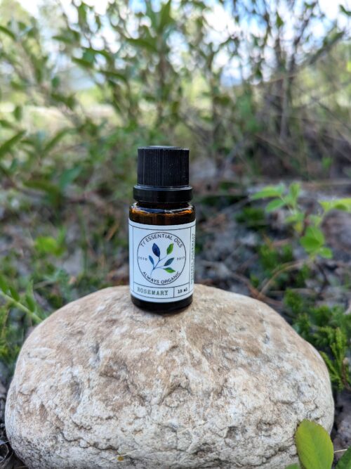 Organic Rosemary
