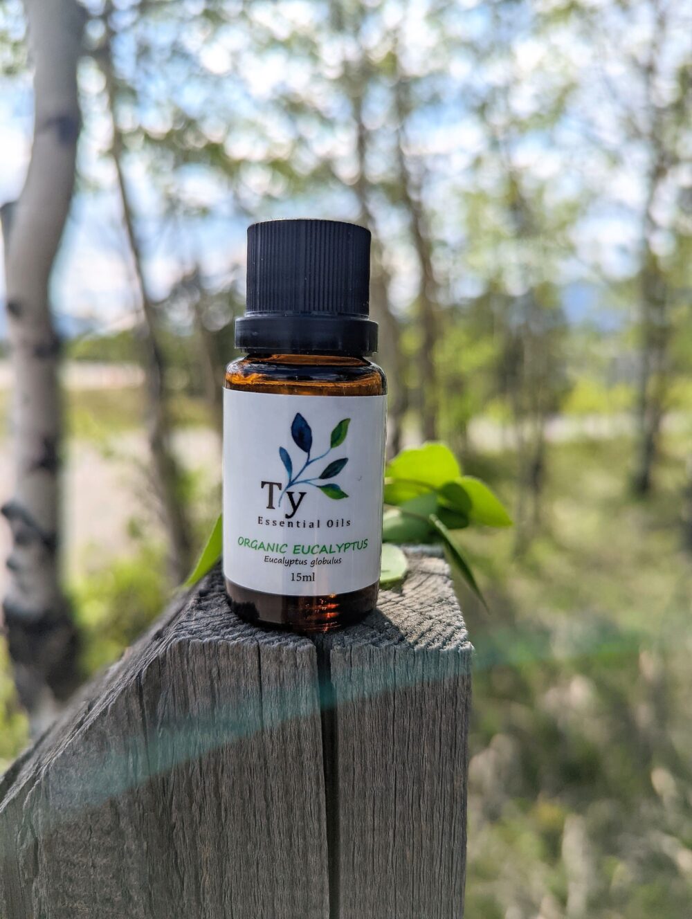 Organic Eucalyptus