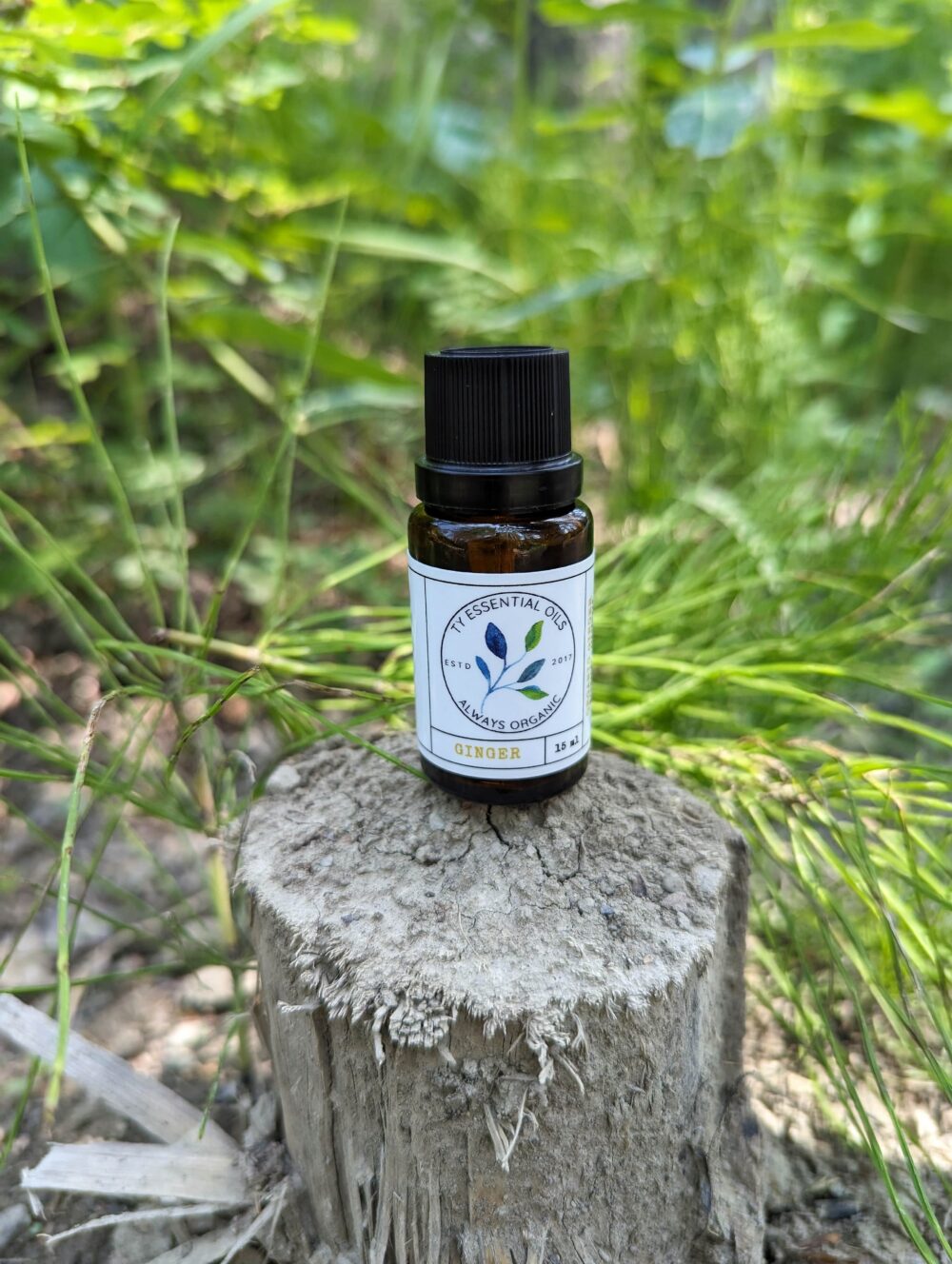 Organic Ginger