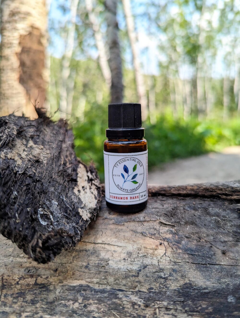 Organic Cinnamon Bark