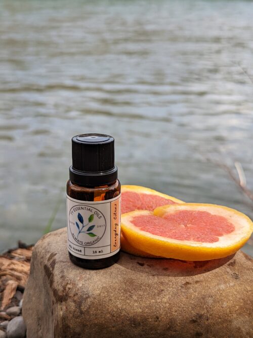Everyday Citrus