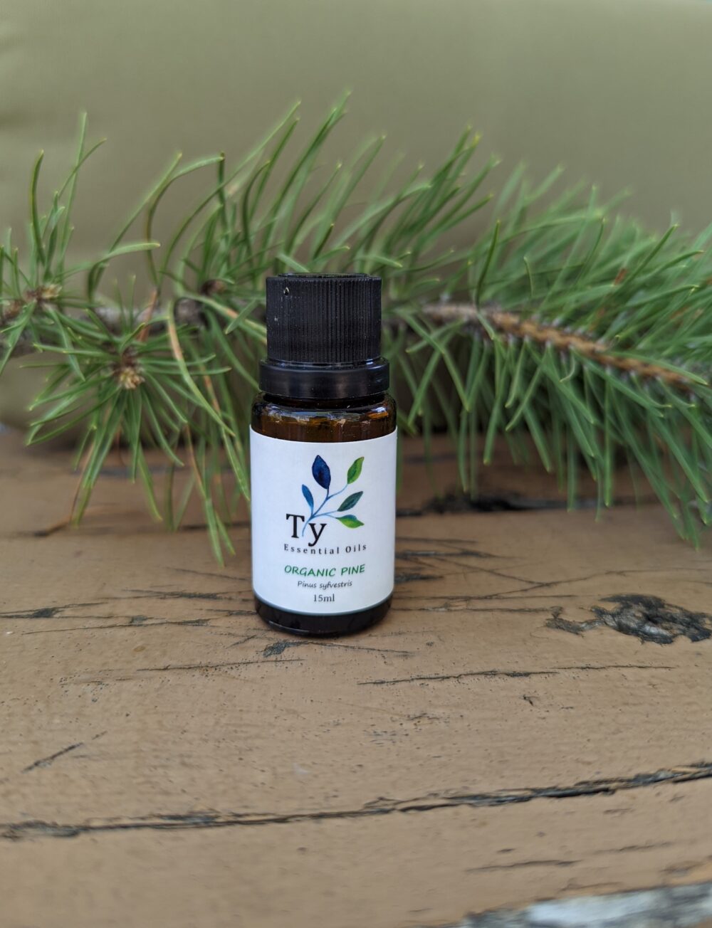 Organic Pine - Image 3