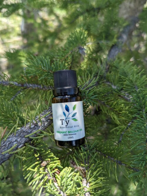 Organic Balsam Fir