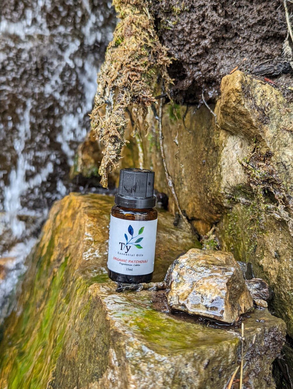 Organic Patchouli - Image 2