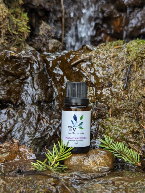 Organic Lavender